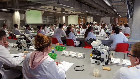 Studierende in weißen Kitteln im Labor