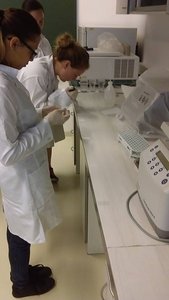 Drei Studierende in weißen Kitteln im Labor 