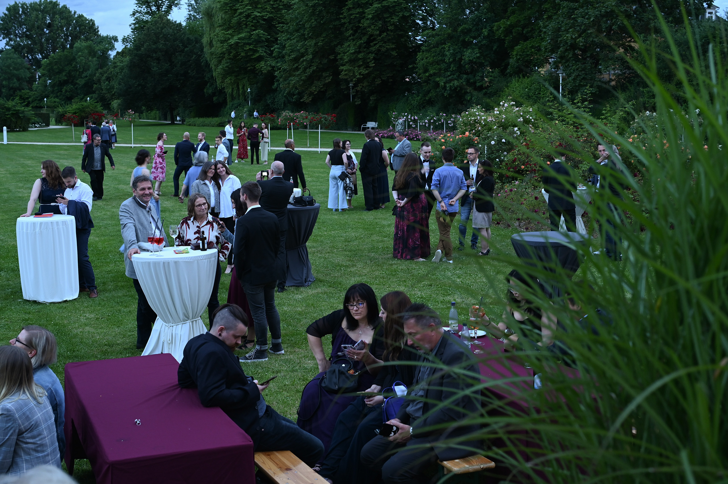 Die Gäste versammeln sich bei einer Veranstaltung im Garten, unterhalten sich an Cocktailtischen und sitzen auf Bänken. Die feierliche Szene ist von Grün umgeben, und unter dem bewölkten Himmel unterhalten sich verschiedene Gruppen – perfekt für die Absolventenfeier 2024. at Hochschule Coburg