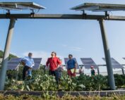 Eine Gruppe der Hochschule Coburg steht unter Solarmodulen in einem üppigen Gemüsefeld und untersucht die Anlage. Der Himmel ist klar und sonnig und ergänzt einen baumbedeckten Hügel im Hintergrund, während sie die Wirksamkeit der Solaranlage beurteilen.