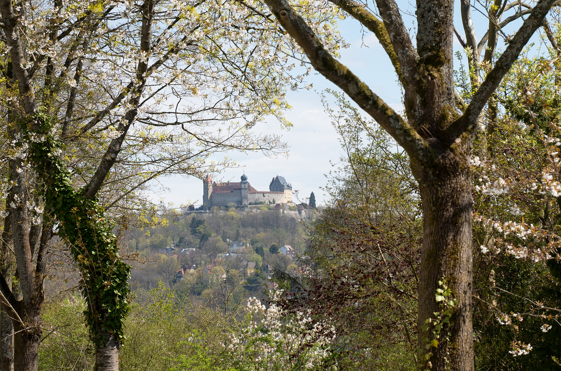 In der Ferne wird eine mittelalterliche Burg von blühenden Bäumen in einer üppigen, grünen Landschaft unter einem klaren blauen Himmel eingerahmt und erinnert an die malerische Aussicht in der Nähe der Hochschule Coburg.