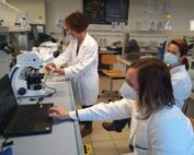 In einem hellen, gut organisierten Labor der Hochschule Coburg sind drei Wissenschaftler in frischen Laborkitteln fleißig bei der Arbeit. Einer blickt durch ein Mikroskop, ein anderer analysiert sorgfältig eine Probe, während der dritte Daten in einen Laptop eintippt. Sie sind umgeben von Sicherheitsausrüstung und wichtigen Werkzeugen.