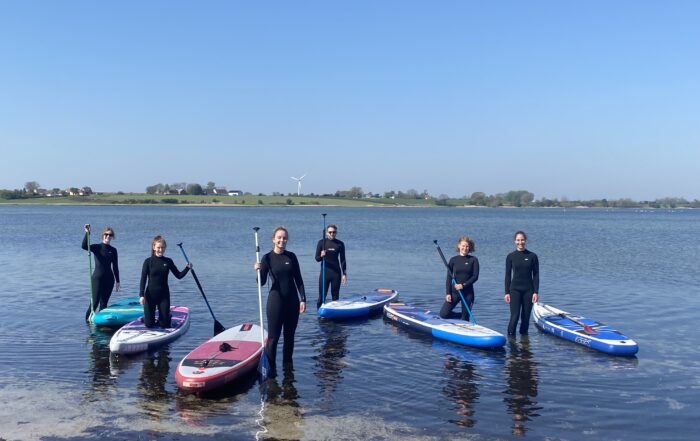 Eine Gruppe von sieben Personen in Neoprenanzügen steht auf Paddleboards auf einem ruhigen Gewässer unter einem klaren blauen Himmel. Im Hintergrund rahmen ein grasbewachsenes Ufer und eine Windturbine diesen malerischen Ort in der Nähe der Hochschule Coburg sanft ein.