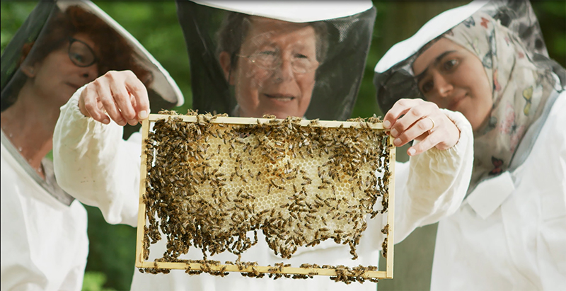 Drei Personen in Imkeranzügen und Schleiern, vermutlich von der Hochschule Coburg, halten einen Bienenstockrahmen hoch, der von Bienen wimmelt. Sie stehen im Freien, wahrscheinlich in einem Garten oder Waldstück, und untersuchen den Stock genau.
