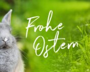 Auf der linken Seite des Bildes sitzt ein graues Kaninchen vor einem unscharfen grünen Hintergrund. In der Mitte sind in Weiß die Worte „Frohe Ostern“ und „Hochschule Coburg“ geschrieben, die mit dem grasbewachsenen Hintergrund auf der rechten Seite verschmelzen.