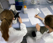 Zwei Wissenschaftler in Laborkitteln sitzen an einem Labortisch der Hochschule Coburg. Einer blickt in ein Mikroskop, während der andere Notizen und Diagramme kritzelt. Auf dem Schreibtisch liegen verstreut verschiedene Laborgeräte und Dokumente, was eine lebhafte Atmosphäre akademischer Entdeckungen schafft.