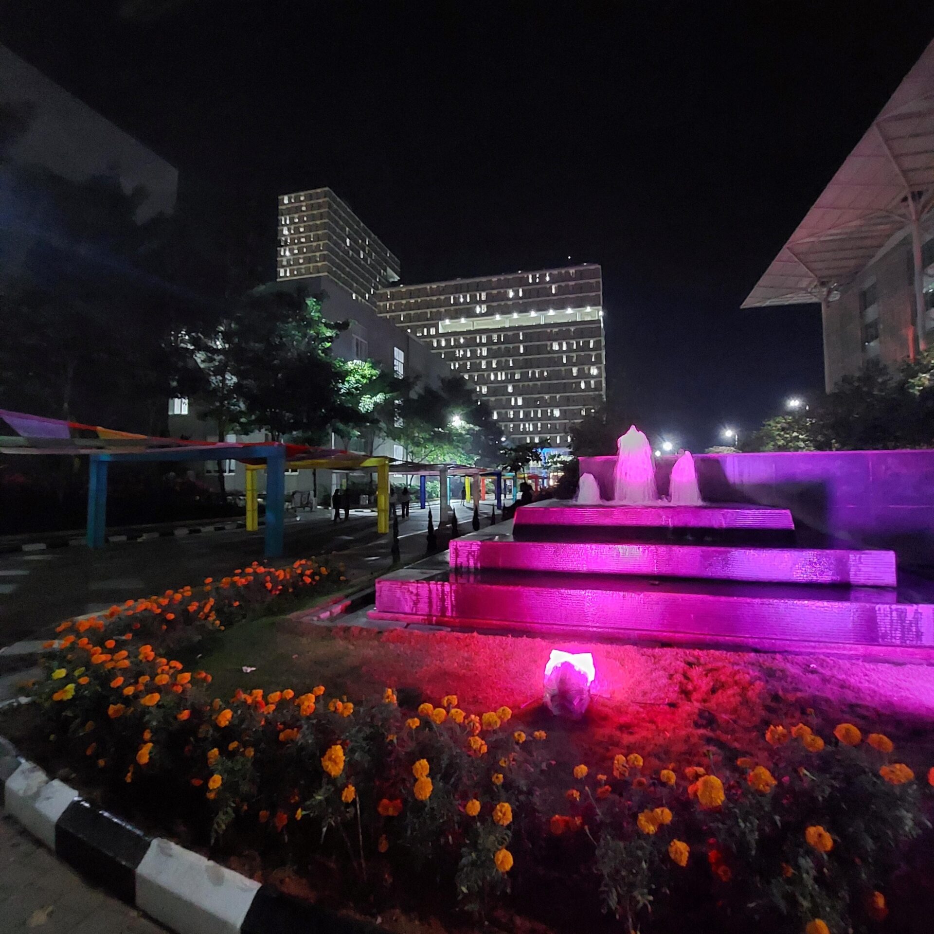 Eine Nachtansicht des Campus mit einem Blumenbeet und einem von rosa Lichtern beleuchteten Springbrunnen im Vordergrund, bunten Masten links und modernen Gebäuden mit beleuchteten Fenstern – eine einladende Szene für Studierende aus Indien. at Hochschule Coburg