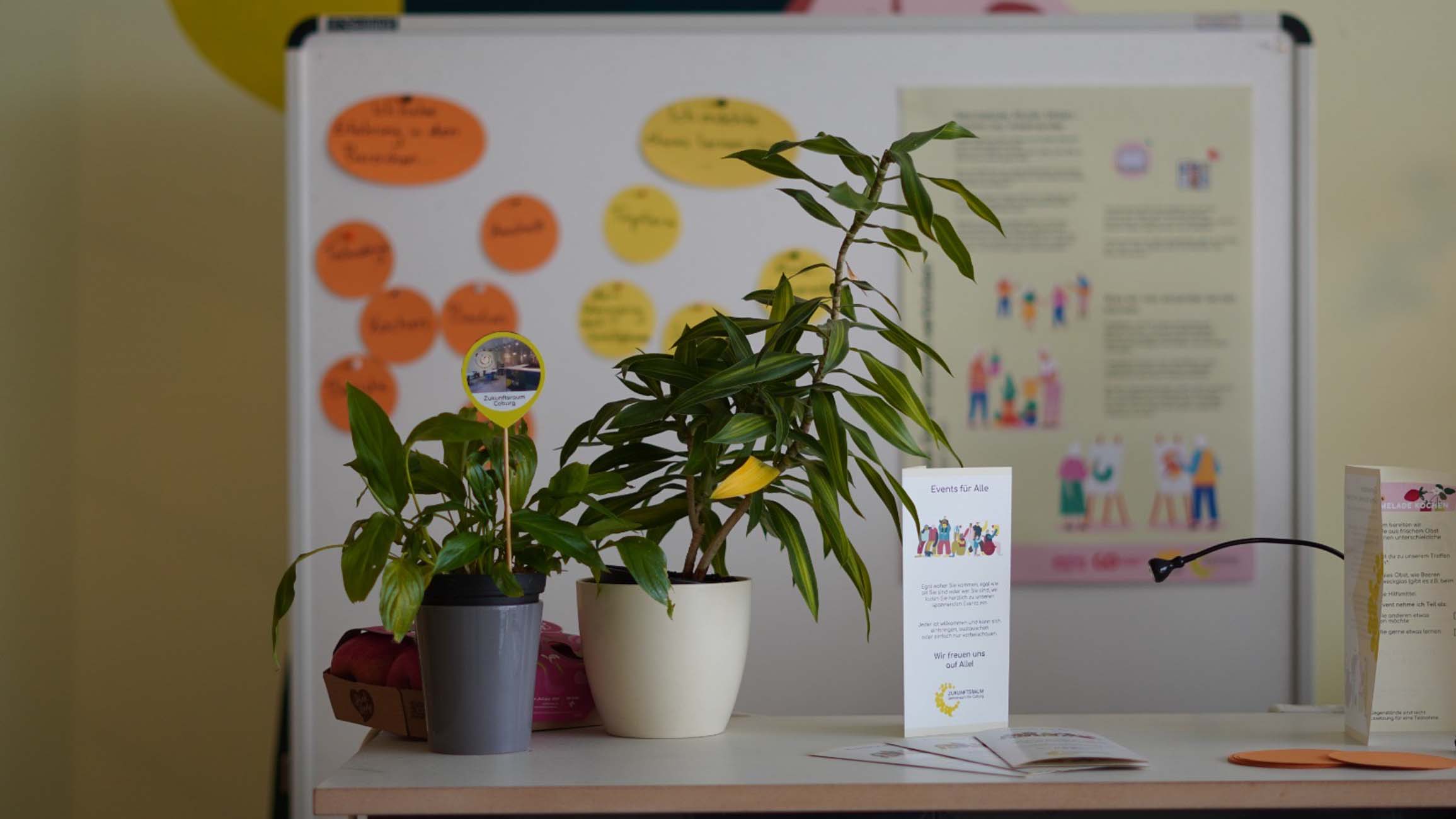 Zwei Topfpflanzen stehen auf einem Schreibtisch vor einem Whiteboard, das mit orangefarbenen Haftnotizen und bunten Plakaten zur Stadtgestaltung bedeckt ist. Auf dem Schreibtisch liegen auch Broschüren und eine Leselampe, die die Studierenden Coburgs einladen, die Zukunft zu gestalten. at Hochschule Coburg