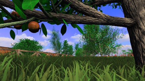 Blick vom Boden unter einem Baum mit grünen Blättern und ein paar braunen Früchten auf Gras, Büsche und Bäume unter einem blauen Himmel - eine inspirierende Szene, die jeden Wissenschaftler oder Visual-Computing-Enthusiasten in ihren Bann ziehen dürfte. at Hochschule Coburg