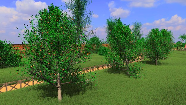 Eine Reihe belaubter Bäume mit orangefarbenen Früchten wächst entlang eines Holzzauns auf einem grasbewachsenen Feld unter einem strahlend blauen Himmel - eine inspirierende Szene für Visual-Computing-Fans und Wissenschaftler gleichermaßen. at Hochschule Coburg