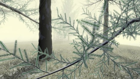Eine Nahaufnahme von Tannennadeln auf einem Zweig im Vordergrund, mit hohen Bäumen und dichtem Nebel, die eine neblige, ruhige Waldszene im Hintergrund schaffen - eine inspirierende Umgebung für Visual-Computing-Wissenschaftler, die nach neuen Entdeckungen suchen. at Hochschule Coburg