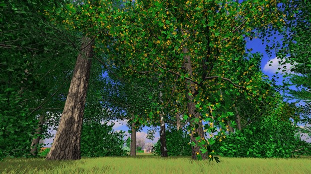 Ein üppiger grüner Wald mit hohen Bäumen, buntem Laub und gelben Blumen erstreckt sich unter einem strahlend blauen Himmel. Wie bei einem Meisterwerk des Visual Computing dringt das Sonnenlicht durch die Äste und beleuchtet den grasbewachsenen Boden. at Hochschule Coburg