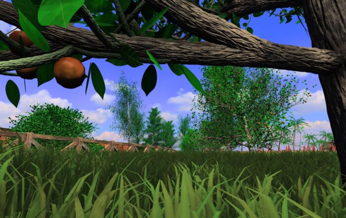 Blick unter einen Baum mit rauen Ästen und ein paar bräunlichen Früchten, mit Blick auf hohes grünes Gras, Bäume und einen Holzzaun unter einem strahlend blauen Himmel - ein Bild der Natur, wie von der Computergrafik der Hochschule Coburg gerendert. at Hochschule Coburg