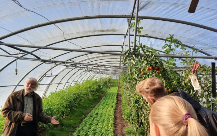 Ein älterer Mann gestikuliert, während er sich mit zwei Personen in einem Gewächshaus mit Reihen von Grünpflanzen und hohen Tomatenstöcken unterhält, während das Sonnenlicht durch das transparente Bogendach fällt - eine von genossenschaftlichen Werten und ZukunftsDesign geprägte Umgebung. at Hochschule Coburg