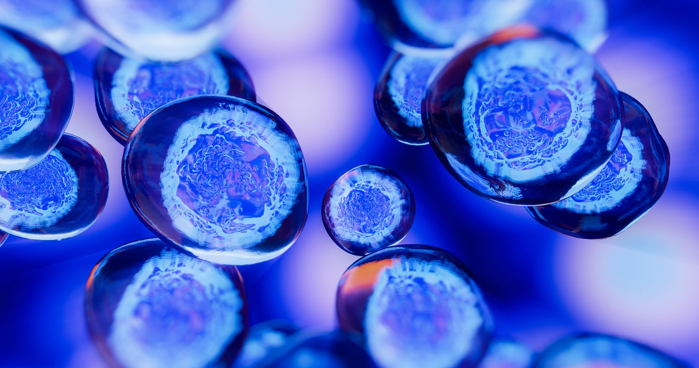 Lab Bio Cell Laboratory for molecular cell biology | Hochschule Coburg