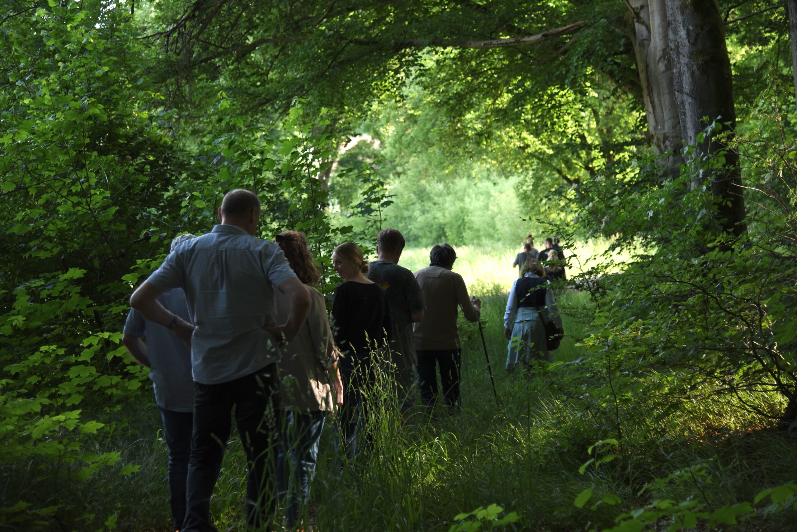 Eine Gruppe von Menschen geht im Gänsemarsch auf einem schmalen, sonnenbeschienenen Pfad durch einen üppigen, grünen Wald, umgeben von hohem Gras und dichten Bäumen - wie ein automatisch gespeicherter Entwurf der Ruhe der Natur. at Hochschule Coburg