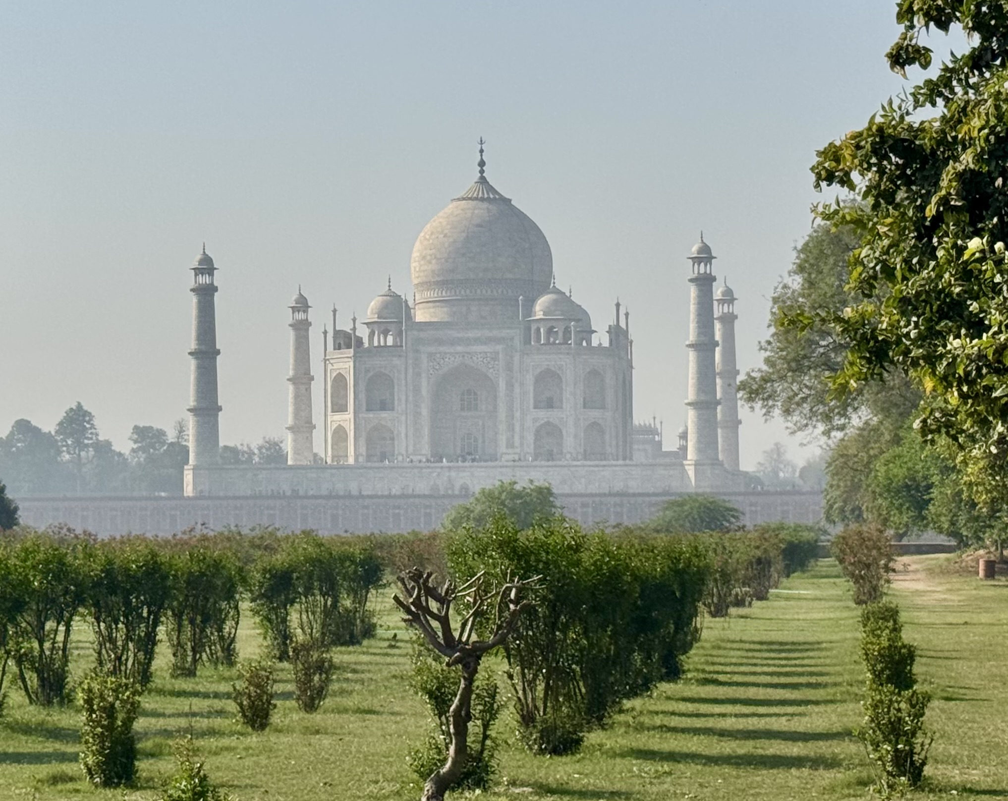 Das Taj Mahal, ein elfenbeinweißes Marmormausoleum mit vier Minaretten, steht im Hintergrund. Grüne Rasenflächen und ordentlich gestutzte Bäume füllen den Vordergrund und symbolisieren zeitlose Schönheit und internationale Präsenz unter einem klaren blauen Himmel. at Hochschule Coburg