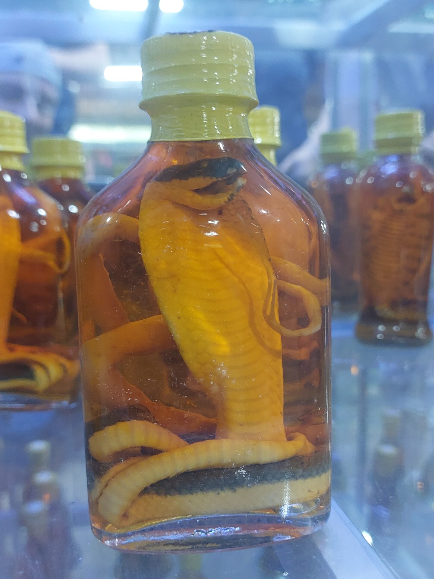 Eine mit bernsteinfarbener Flüssigkeit gefüllte Glasflasche enthält eine konservierte Kobra und eine Schlange, die beide durch den transparenten Behälter sichtbar sind. Im verschwommenen Hintergrund sind ähnliche Flaschen zu sehen, die an Marktszenen in Ho-Chi-Minh erinnern. at Hochschule Coburg