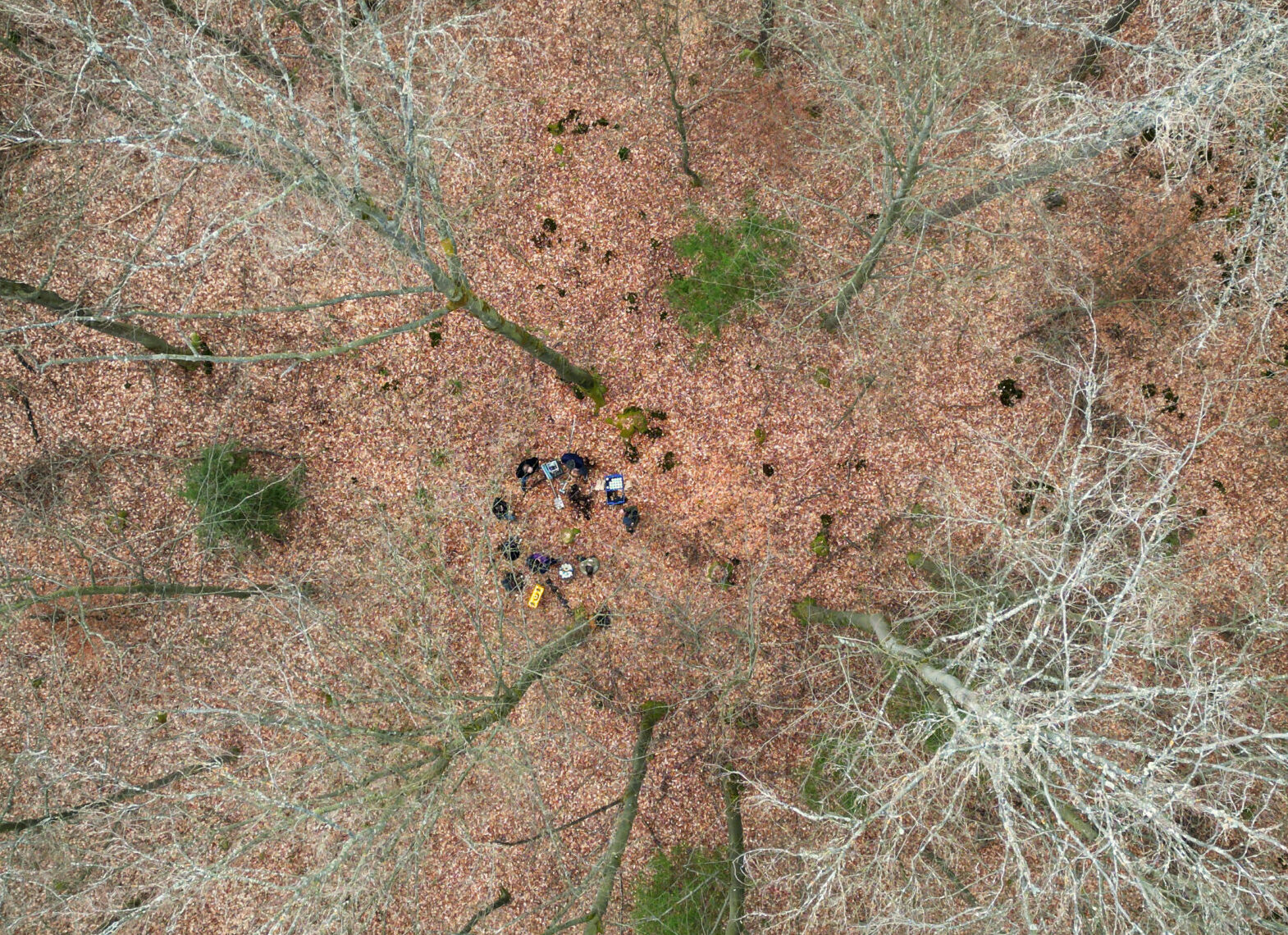 Luftaufnahme einer Gruppe von Menschen, die in einem Kreis inmitten eines mit Laub bedeckten Waldes stehen, umgeben von hohen, meist blattlosen Bäumen - eine Szene, die Teil eines Forschungsprojekts zur Erforschung der Natur im Kunststoff-Zeitalter sein könnte. at Hochschule Coburg