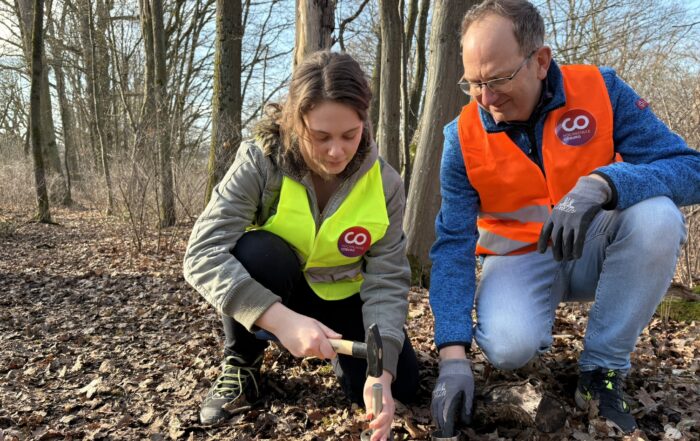 Zwei Personen mit Sicherheitswesten und Handschuhen arbeiten im Rahmen eines Forschungsprojekts in einem Wald mit Werkzeugen und knien auf dem mit trockenem Laub bedeckten Boden. at Hochschule Coburg