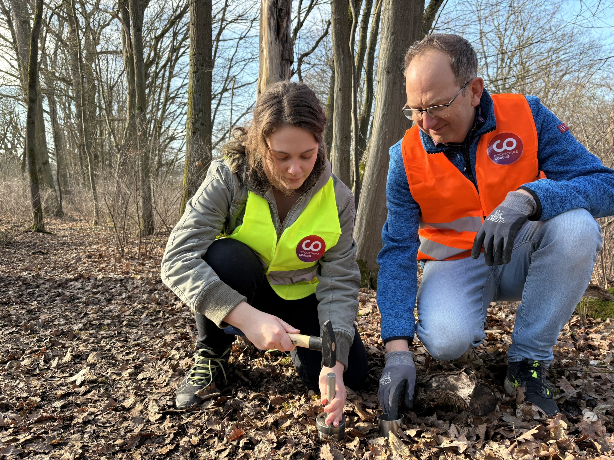 Zwei Personen mit Sicherheitswesten und Handschuhen arbeiten im Rahmen eines Forschungsprojekts in einem Wald mit Werkzeugen und knien auf dem mit trockenem Laub bedeckten Boden. at Hochschule Coburg