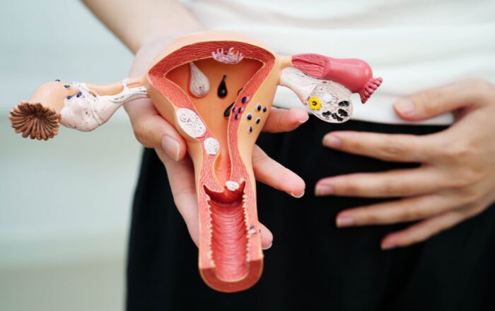 Eine Person hält ein detailliertes anatomisches Modell des weiblichen Fortpflanzungssystems, auf dem die von Endometriose und Adenomyose betroffenen Bereiche hervorgehoben sind, und stützt ihre Hände auf den Unterleib - perfekt für einen Themenabend zur Frauengesundheit. at Hochschule Coburg