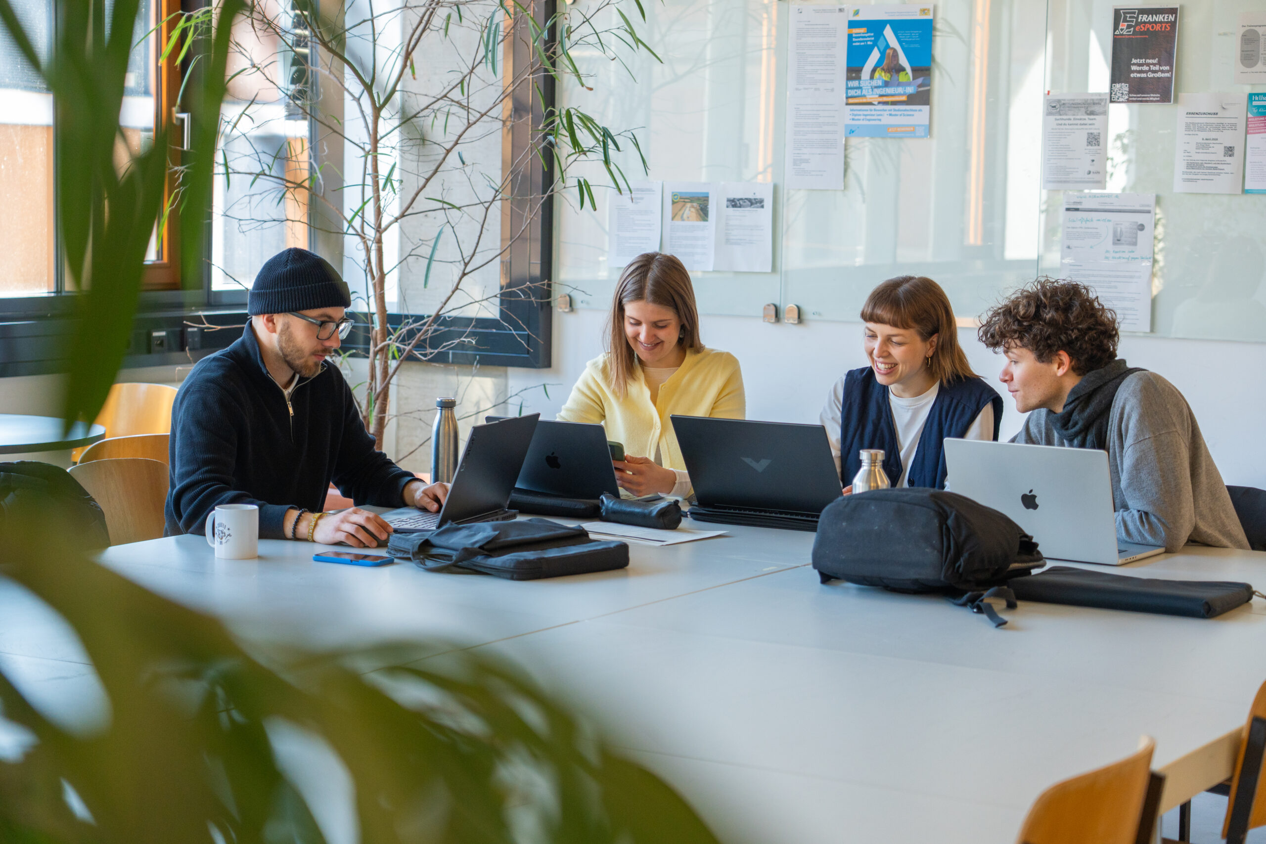 Vier Personen sitzen mit Laptops an einem Tisch, unterhalten sich und lächeln in einem hellen, modernen Büro, das mit Campusluft gefüllt ist. Pflanzen und Poster an der Glaswand hinter ihnen schaffen eine inspirierende Atmosphäre, die sich anfühlt wie die Erkundung neuer Studiengänge. at Hochschule Coburg
