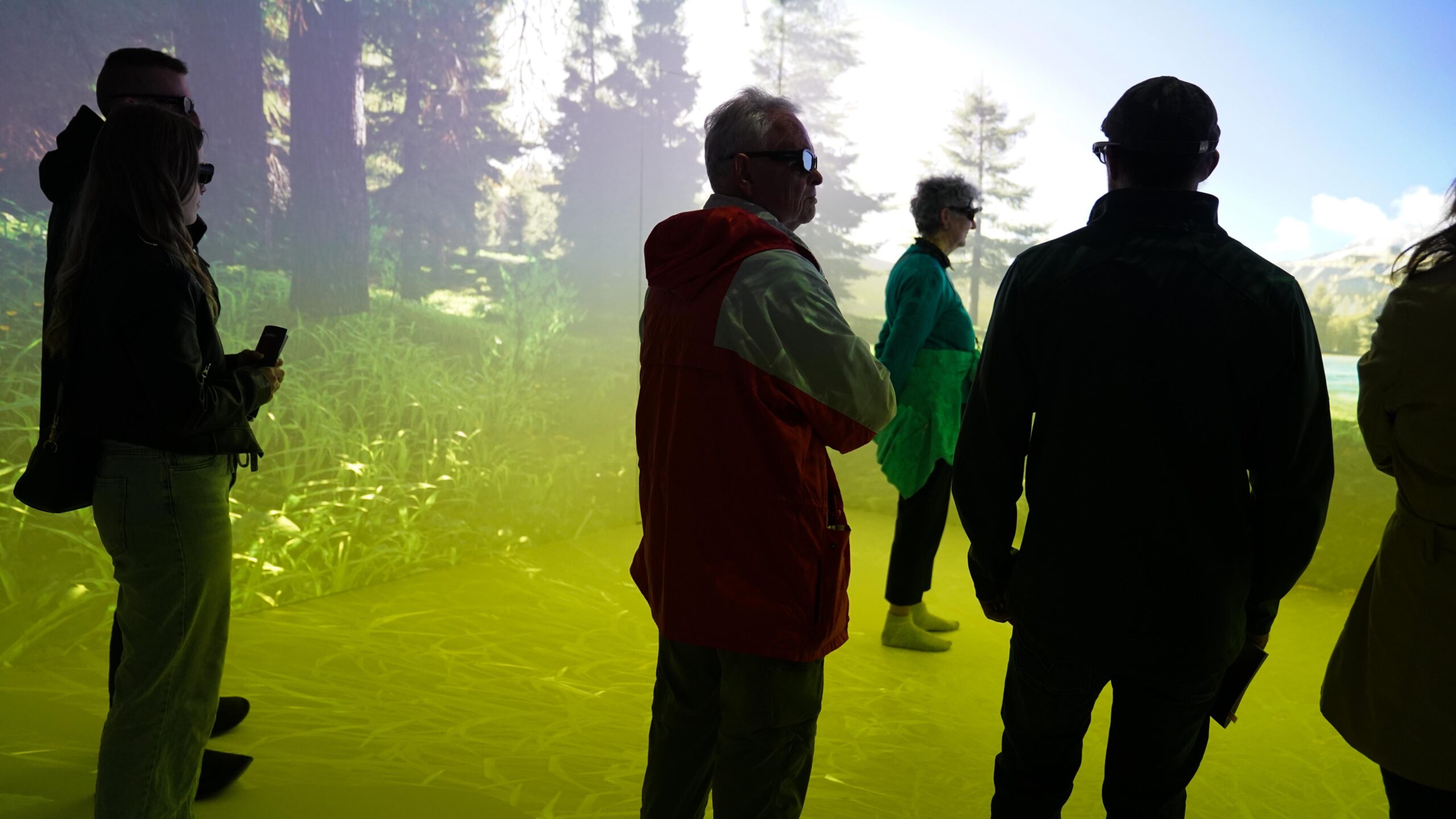 Eine Gruppe von Menschen in Jacken und mit Sonnenbrillen steht in einem Raum, in dem eine digitale Wald- und Wiesenszene auf die Wände und den Boden projiziert wird. So entsteht eine farbenfrohe Umgebung für die Installation Resonanz der Langen Nacht der Wissenschaften. at Hochschule Coburg