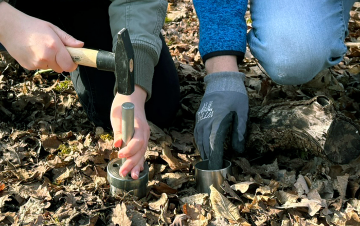 Zwei Personen knien auf dem mit Laub bedeckten Waldboden; eine hält ein Metallwerkzeug mit einem Hammer in der Hand, während die andere einen Metallzylinder festhält. Beide scheinen im Freien Forschungsarbeiten durchzuführen und untersuchen möglicherweise die Mikroplastikbelastung im Waldboden. at Hochschule Coburg