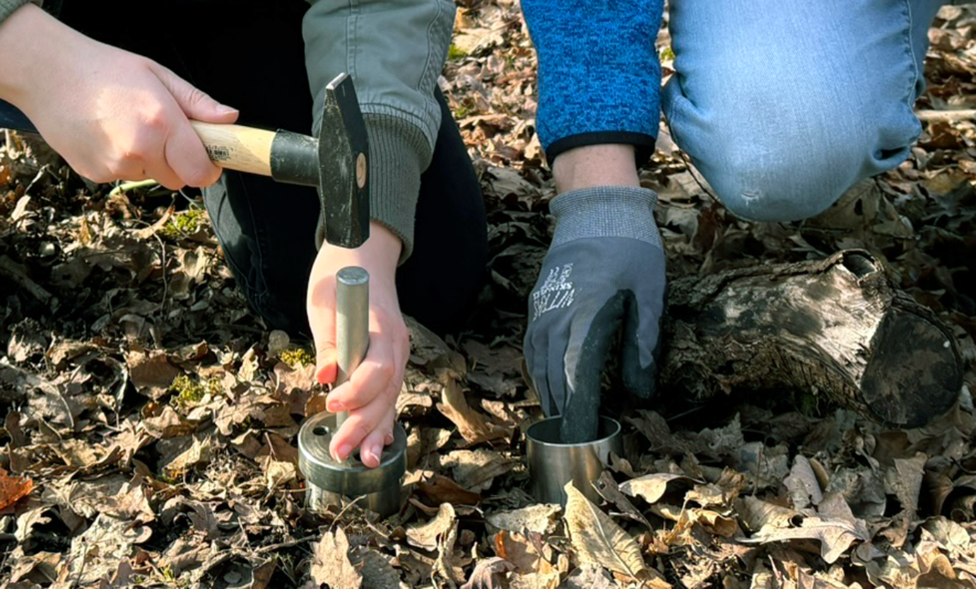 Zwei Personen knien auf dem mit Laub bedeckten Waldboden; eine hält ein Metallwerkzeug mit einem Hammer in der Hand, während die andere einen Metallzylinder festhält. Beide scheinen im Freien Forschungsarbeiten durchzuführen und untersuchen möglicherweise die Mikroplastikbelastung im Waldboden. at Hochschule Coburg