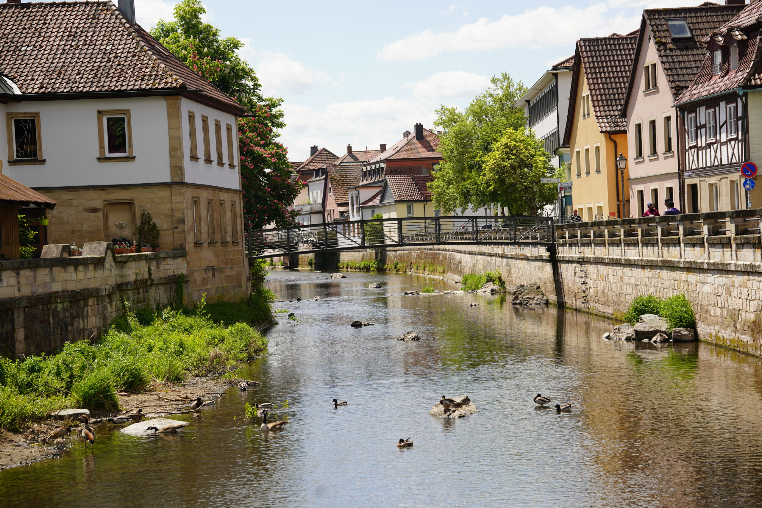 Ein kleiner Fluss mit Enten fließt unter einem teilweise bewölkten Himmel durch eine Stadt, die von charmanten Häusern gesäumt ist und über die eine Fußgängerbrücke führt – eine idyllische Kulisse, die an die nachdenklichen Momente erinnert, die man oft im Laufe seiner wissenschaftlichen Laufbahn erlebt. at Hochschule Coburg