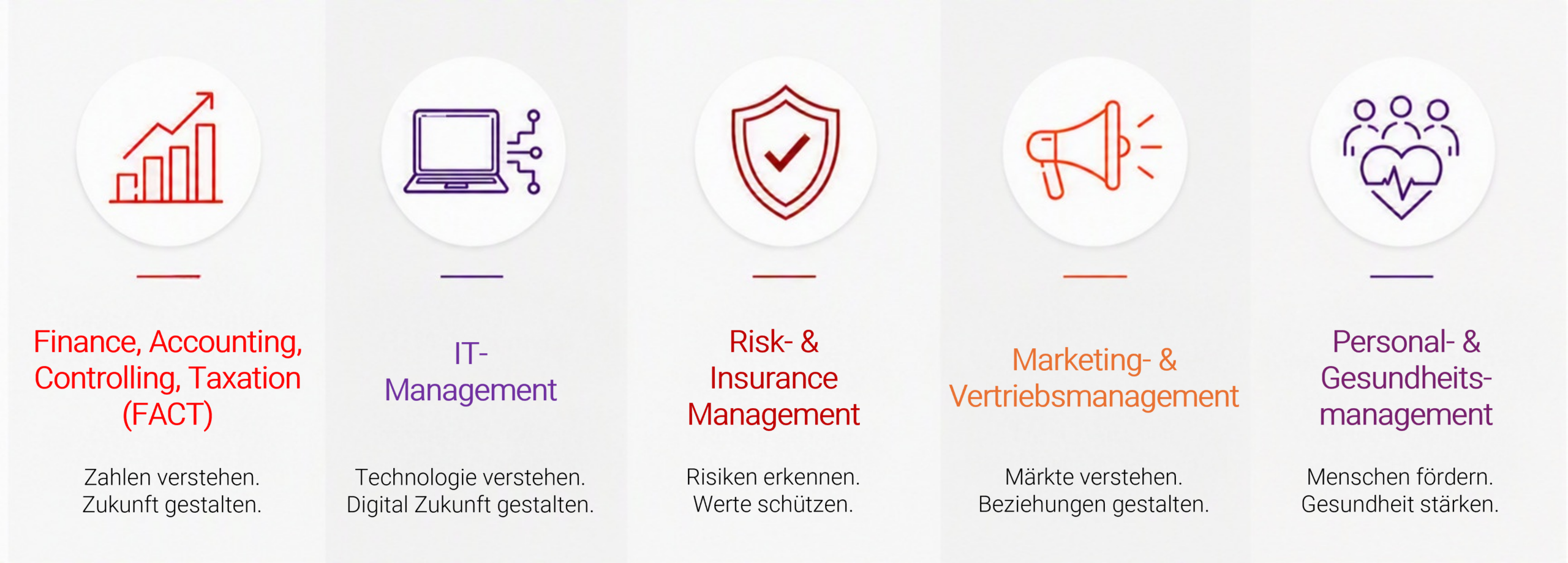 Fünf Symbole mit den Bezeichnungen: Finanzen, IT-Management, Risiko & Versicherung, Marketing & Vertrieb sowie Personal- und Gesundheitsmanagement – die jeweils zentrale Bereiche der Betriebswirtschaft repräsentieren. Jede Kategorie wird durch eine kurze Beschreibung und ein zugehöriges Symbol auf Deutsch dargestellt. at Hochschule Coburg