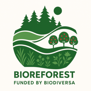 Stilisierte grüne Waldszene mit Bäumen, Pflanzen und einer Sonne, die die lebendige Vielfalt der Wälder Europas widerspiegelt. Der darunter stehende Text lautet: „BIOREFOREST, FINANZIERT VON BIODIVERSA.“. at Hochschule Coburg
