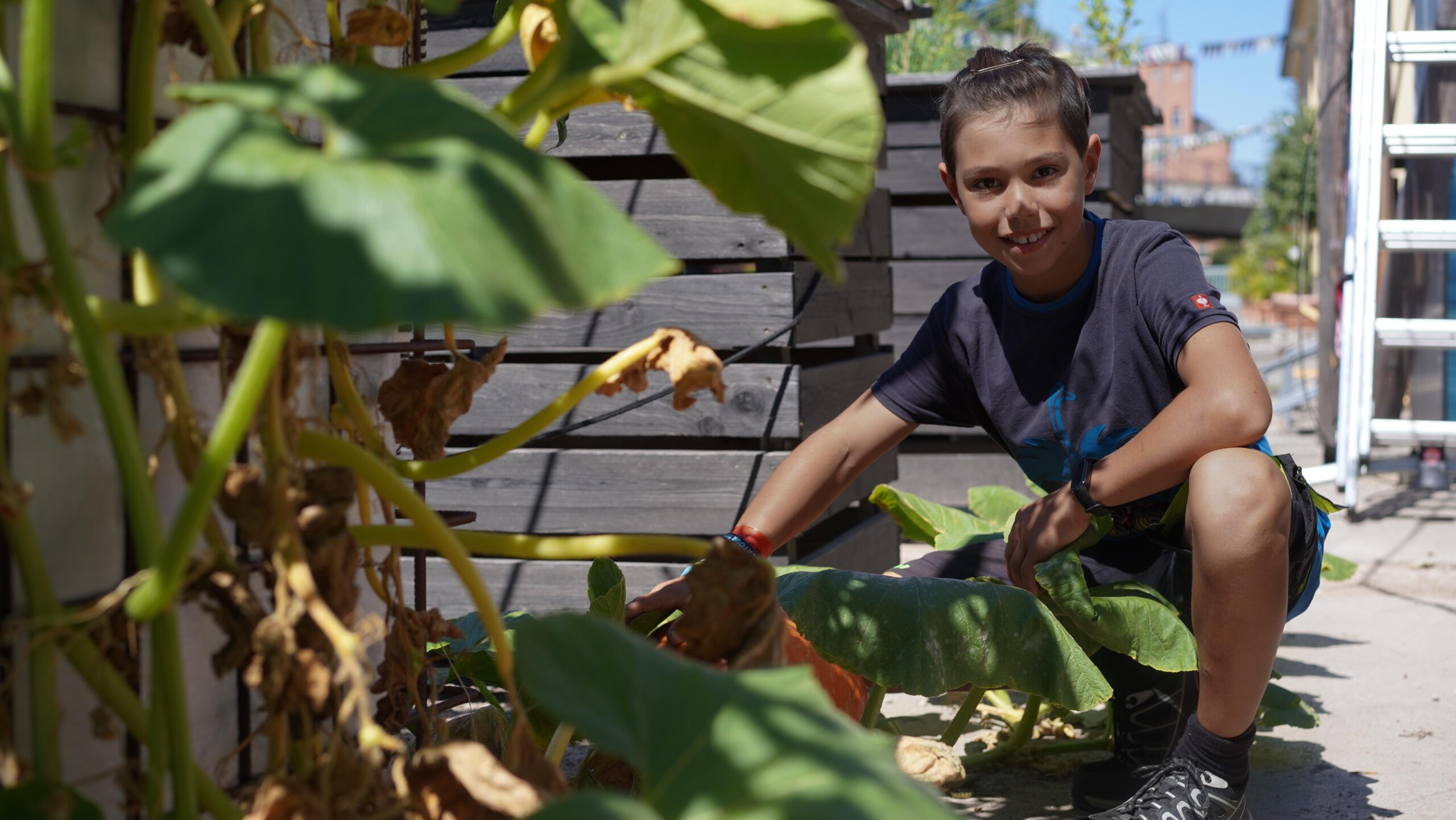 Ein Junge kniet in einem „Klimafit“-Garten und lächelt, während er sich um eine große Kürbispflanze kümmert. at Hochschule Coburg